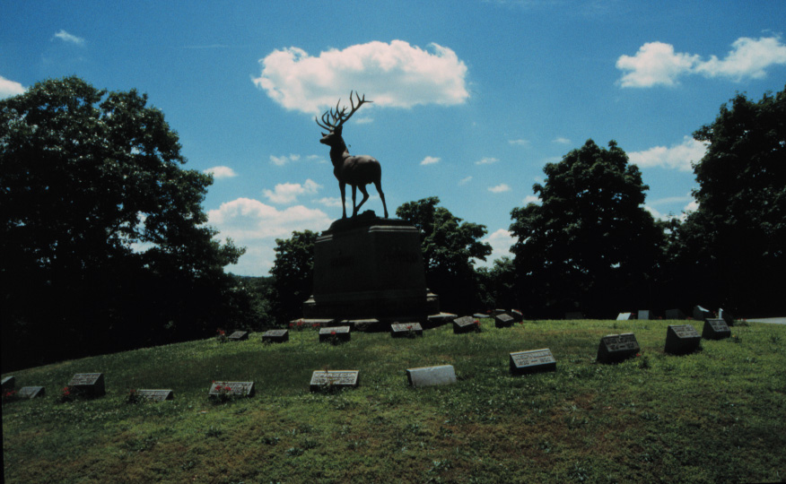 Elk at the Elk's Rest Memorial, Laurel Grove Cemetery, Totowa, NJ, sold by the J.W. Fiske Iron Works in naturalistically painted zinc