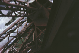 Eiffel Tower detail