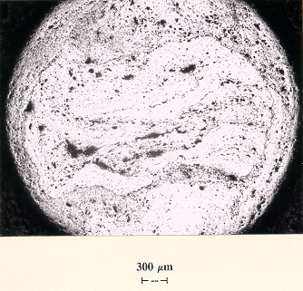 Photomicrographs of cross sections, 3% nital etch