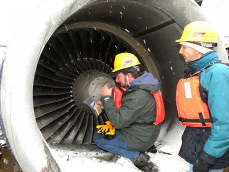Researchers inspecting airplane engine for bird that hit the airplane